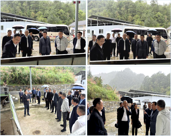 1762159559489705.png image.png